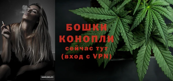 дмт Белокуриха