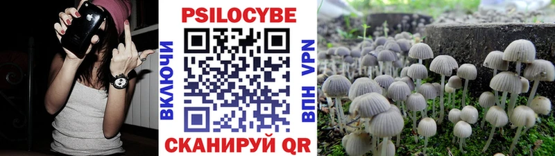 где найти наркотики  Волчанск  Галлюциногенные грибы ЛСД 